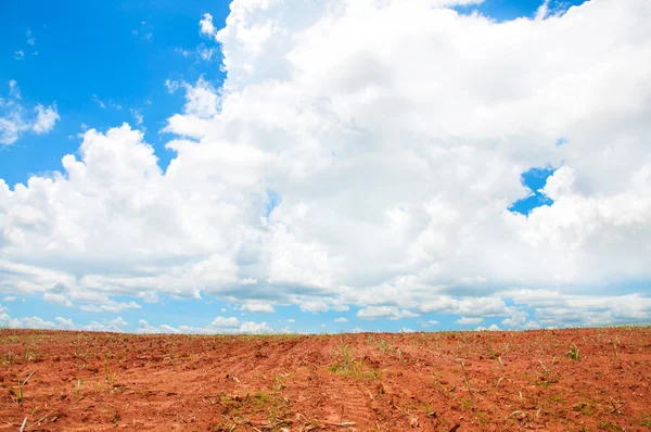 Paisaje rural de tierras agrícolas desnudas con un hermoso cielo por encima —  Fotos de Stock