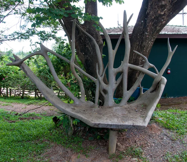 Houten bench gemaakt van wortels in tuin — Stockfoto