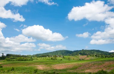 Yaz dağları yeşil çimenler ve mavi gökyüzü manzarası