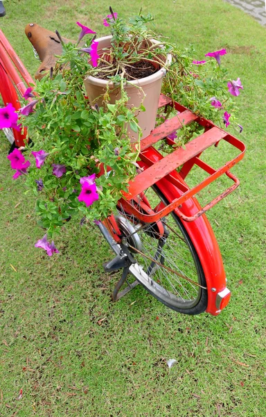 Red painted bicycle with a bucket of colorful flowers — Stock Photo, Image