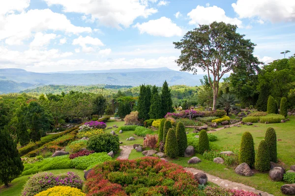 Schöner Garten mit bunten Blumen auf dem Hügel — Stockfoto