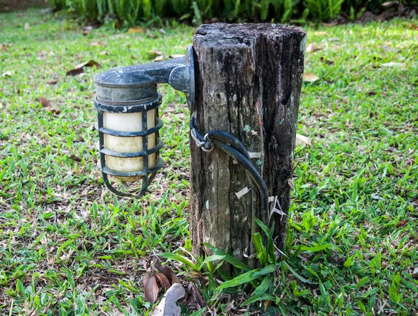 Lámpara colgada en poste de madera en jardín de menta verde —  Fotos de Stock