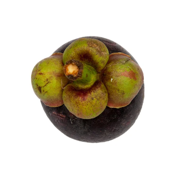 Mangosteen τροπικά φρούτα που απομονώνονται σε λευκό φόντο — Φωτογραφία Αρχείου