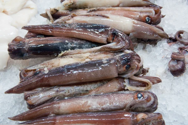 Färsk bläckfisk på marknaden — Stockfoto