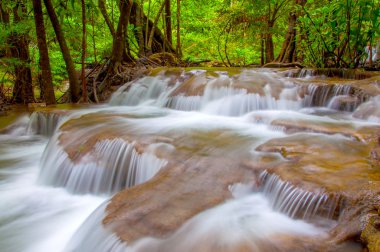 derin yağmur ormanları jungle şelale (huay mae kamin şelale