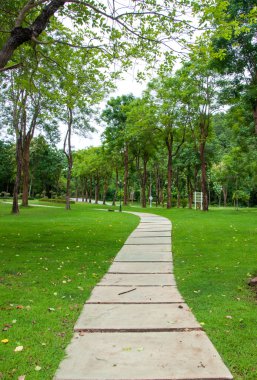 patika yeşil çimenli Park