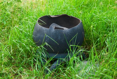 Lastik yabani ot, çöp veya depo gözü yaptı