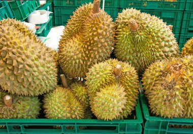 Tay yerel pazarda Durian tropikal meyve