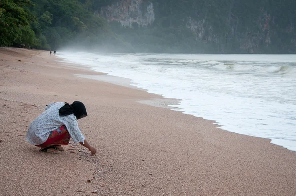 人们找到的贝壳砂在海的边缘上 — 图库照片