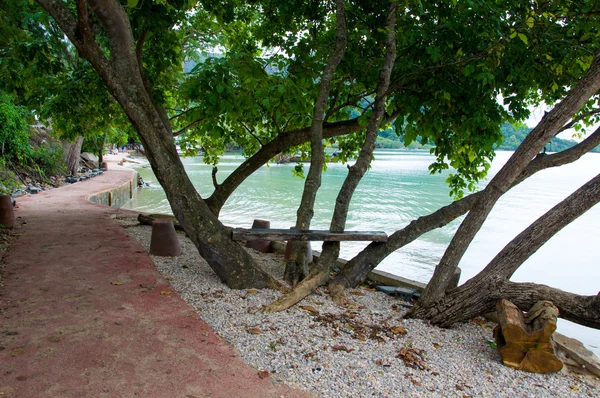 Panchina Albero su una spiaggia sabbiosa — Foto Stock