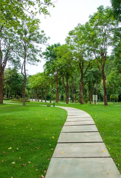 Прогулка по зеленой траве в парке — стоковое фото