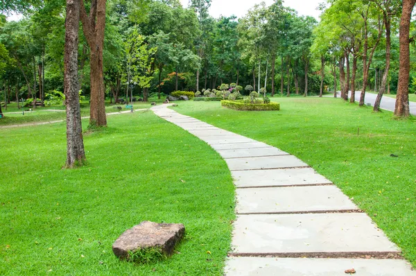 Chodnik na zielony trawnik w parku — Zdjęcie stockowe
