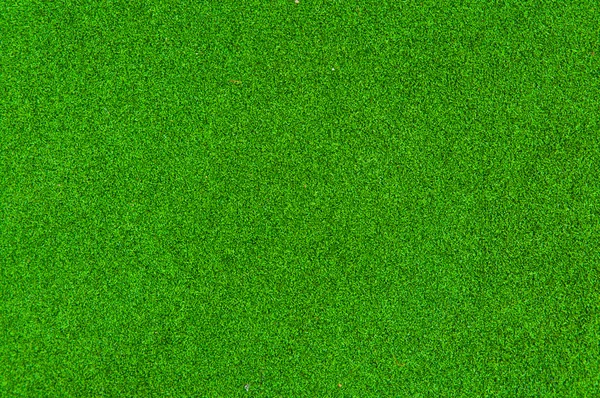 Green grass of texture for background. — Stock Photo, Image