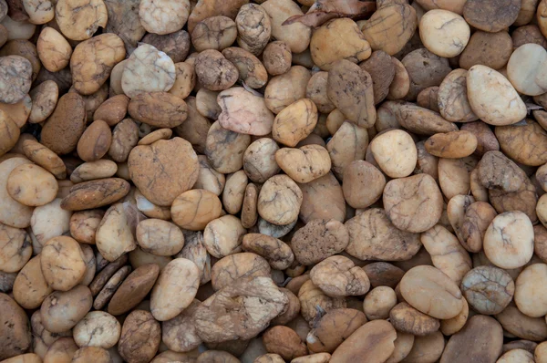 Batu kerikil latar belakang. Warna coklat — Stok Foto