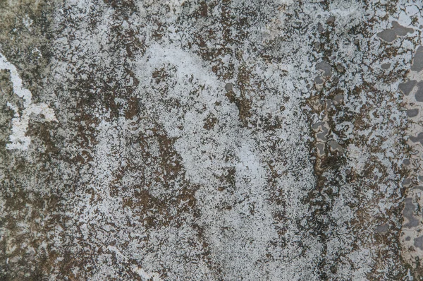 Cement background with a texture of gray wall — Stock Photo, Image