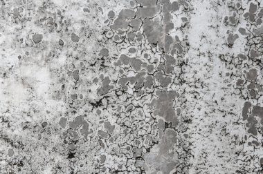 Çimento arka plan gri duvar dokusu ile