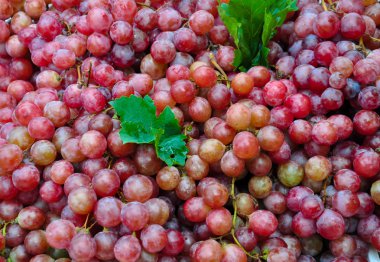 taze olgun kırmızı üzüm