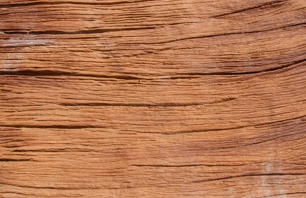 Fake of cracked wood Stump — Stock Photo, Image