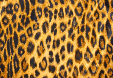 Leopar deri desen yumuşak battaniye malzeme