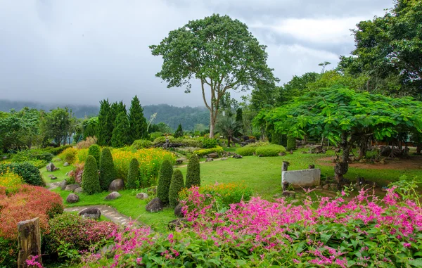 Schöner Garten mit bunten Blumen auf dem Hügel — Stockfoto