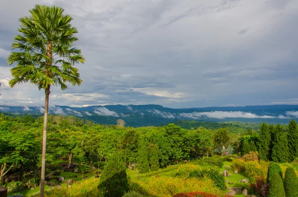 Palmeira tropical sob um céu azul — Fotografia de Stock