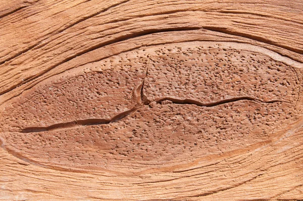 Fälschung von rissigem Holzstumpf — Stockfoto