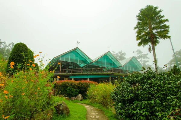 Villa tropical con hermoso jardín . —  Fotos de Stock