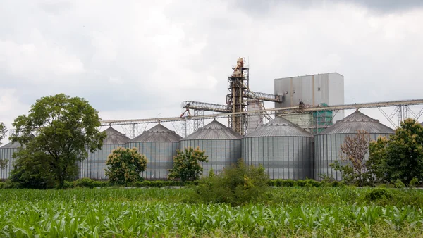 Tanques de almacenamiento en molino de arroz, línea de producción de proceso de fábrica en t —  Fotos de Stock