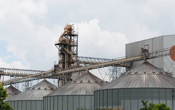 Lagringstankar i ris mill, fabriken processen produktionslinje i t — Stockfoto