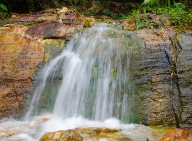 derin yağmur ormanları jungle şelale