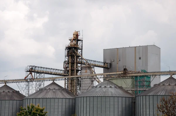 Lagringstankar i ris mill, fabriken processen produktionslinje i t — Stockfoto