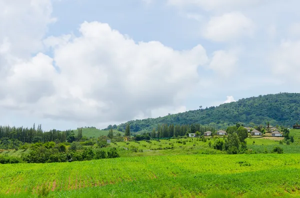 夏の山緑の草青い空の風景 — ストック写真