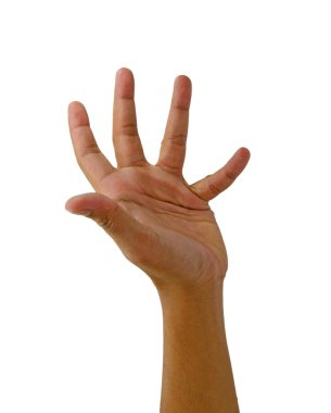 Beyaz arkaplanda insan el işareti izole edildi