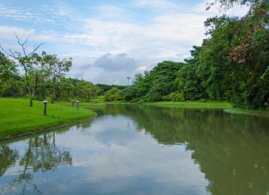 Bahar park göl manzara
