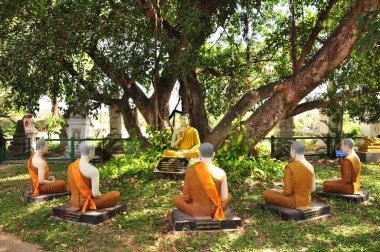 Buda heykeli terbiye etmek doğa beş Buda heykeli