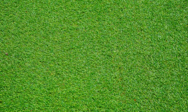 Herbe verte de texture pour le fond . — Photo