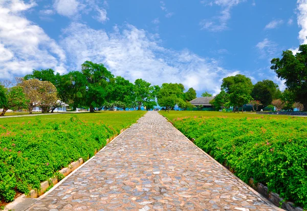 Pasarela en el parque — Foto de Stock