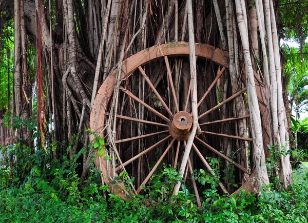 Wooden wheel — Stock Photo, Image