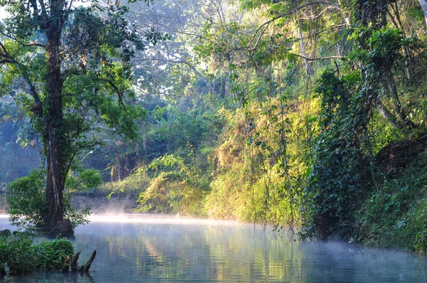 Mistige rivier in thailand — Stockfoto