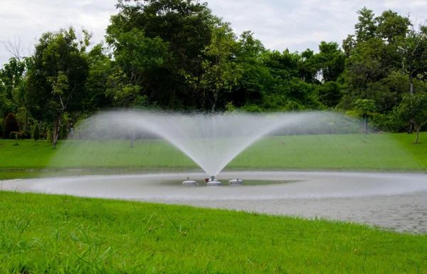 Buiten landschap met vijver in tuin — Stockfoto