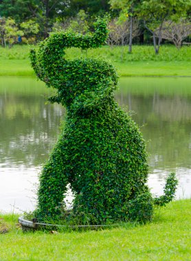 ağaç küçük yaprak Park fil aynı şekle zorlayabilir