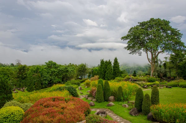 Beautiful garden of colorful flowers — Stock Photo, Image