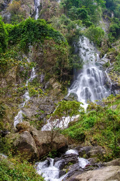 Wodospad w głębokich lasów tropikalnych dżungli — Zdjęcie stockowe