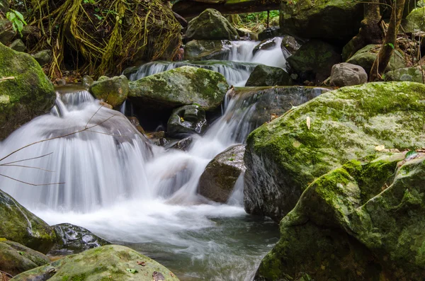 Cascada en la selva profunda — Foto de Stock