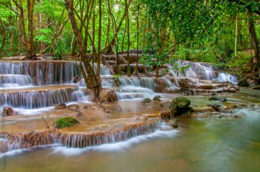 derin yağmur ormanları jungle şelale