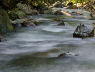 derin yağmur ormanları jungle şelale