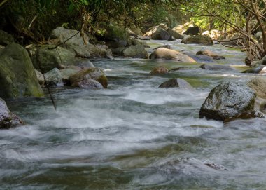 derin yağmur ormanları jungle şelale