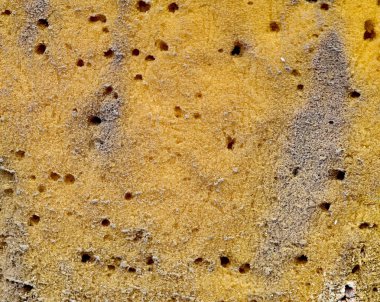 arka plan için eski sarı sünger doku