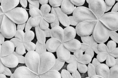 Plumeria flower on cement wall