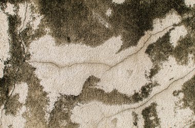 Çimento arka plan doku turuncu bir duvar ile